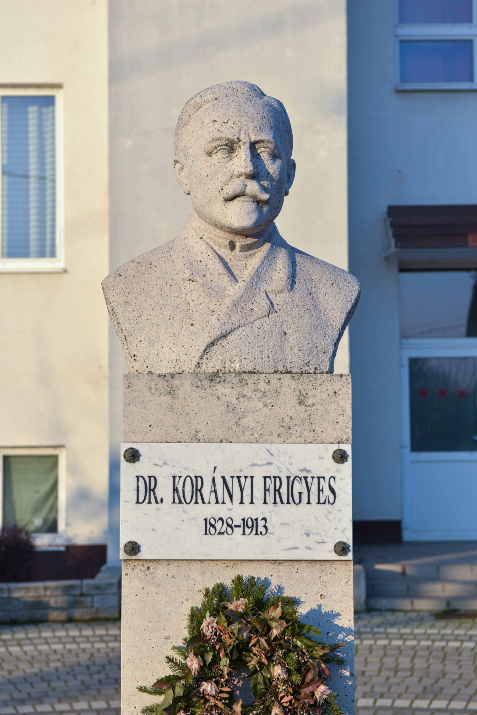 Dr. Korányi Frigyes munkássága 