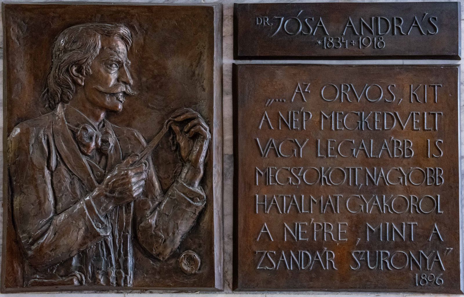 Dr. Jósa András orvosi és régészeti tevékenysége 