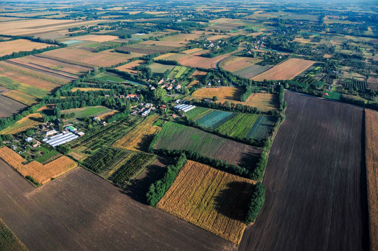 Nyíregyházi bokortanyák 