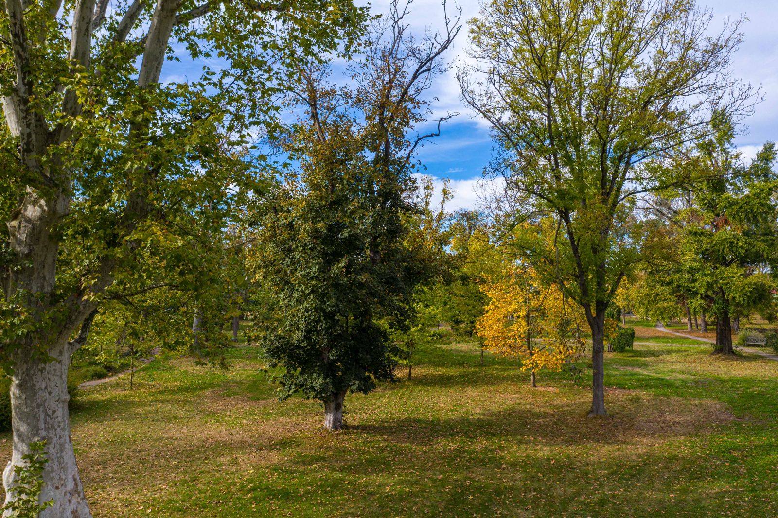 Szabolcs-Szatmár-Bereg megye történeti kertjei 