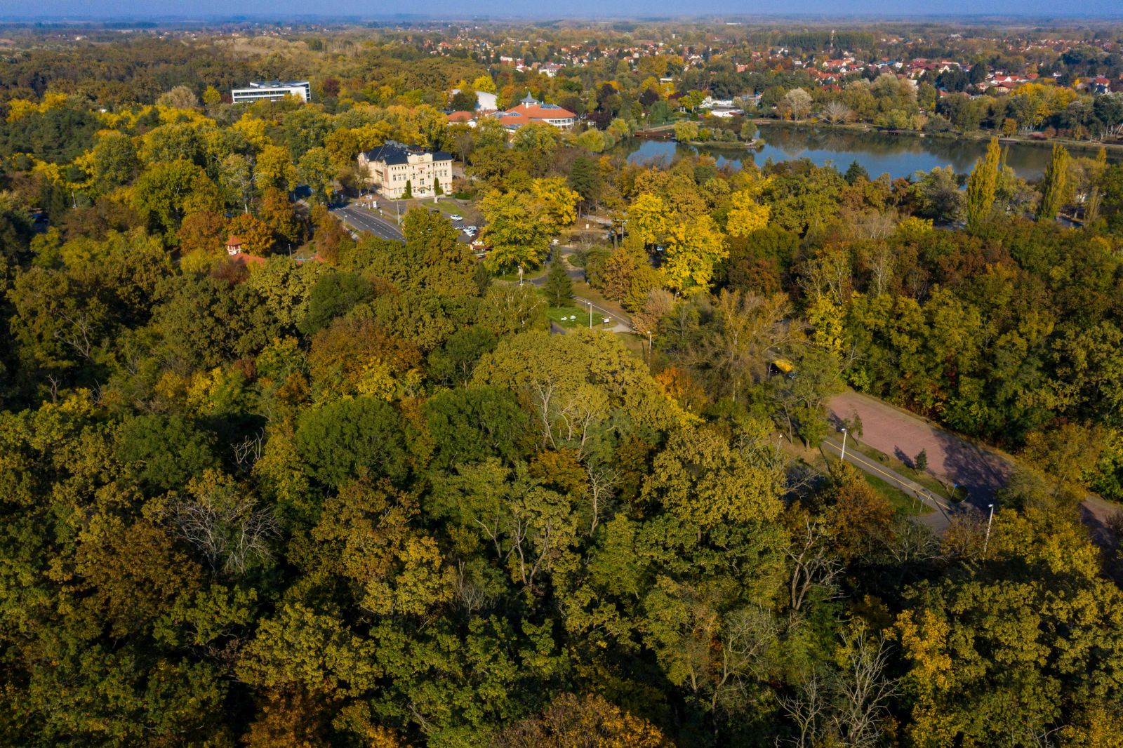 A nyíregyházi Sóstói-erdő 