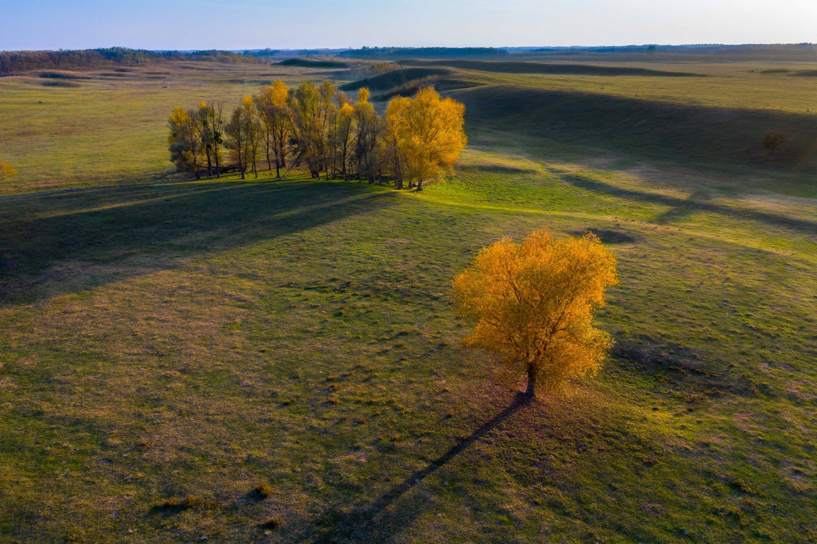 Bátorligeti „Nyomási” Nagylegelő 