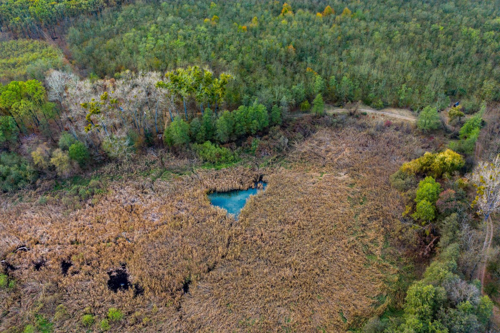 Kállósemjéni Mohos-tó Természetvédelmi Területet 