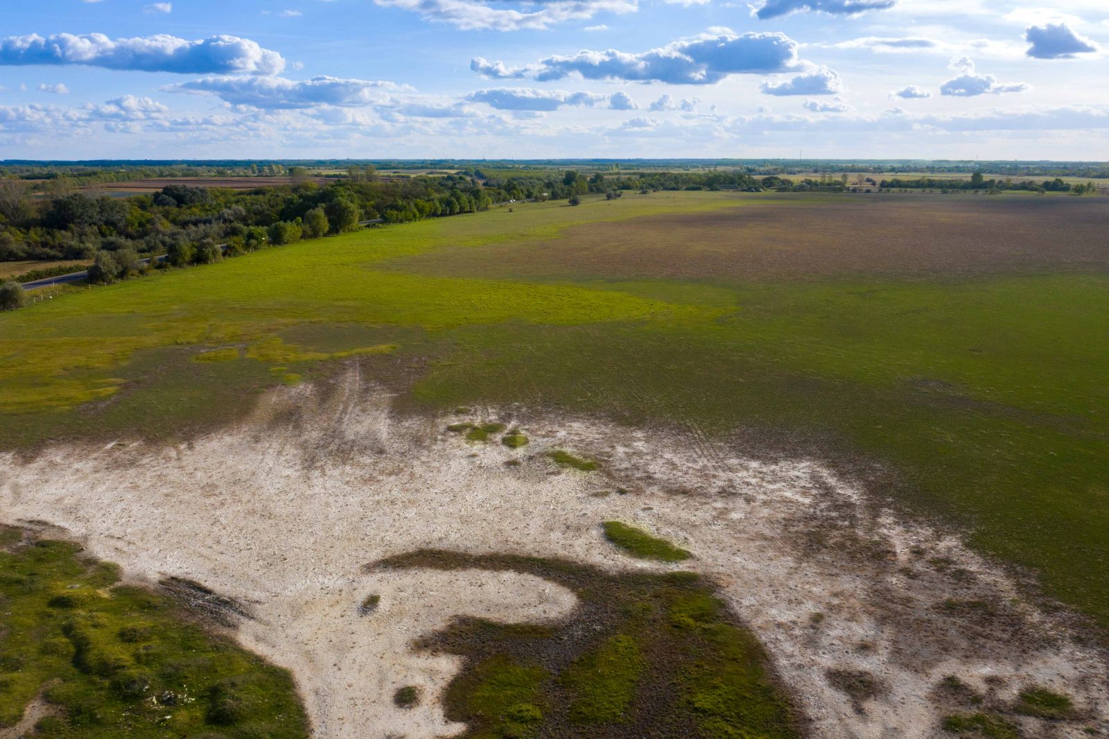 Az újfehértói „Szikes” 