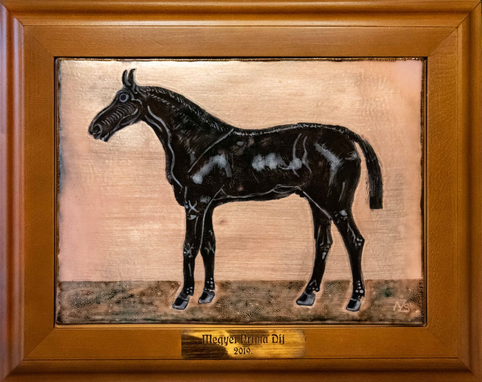 A Szabolcs-Szatmár-Bereg Megyei Prima Díj küldetése 