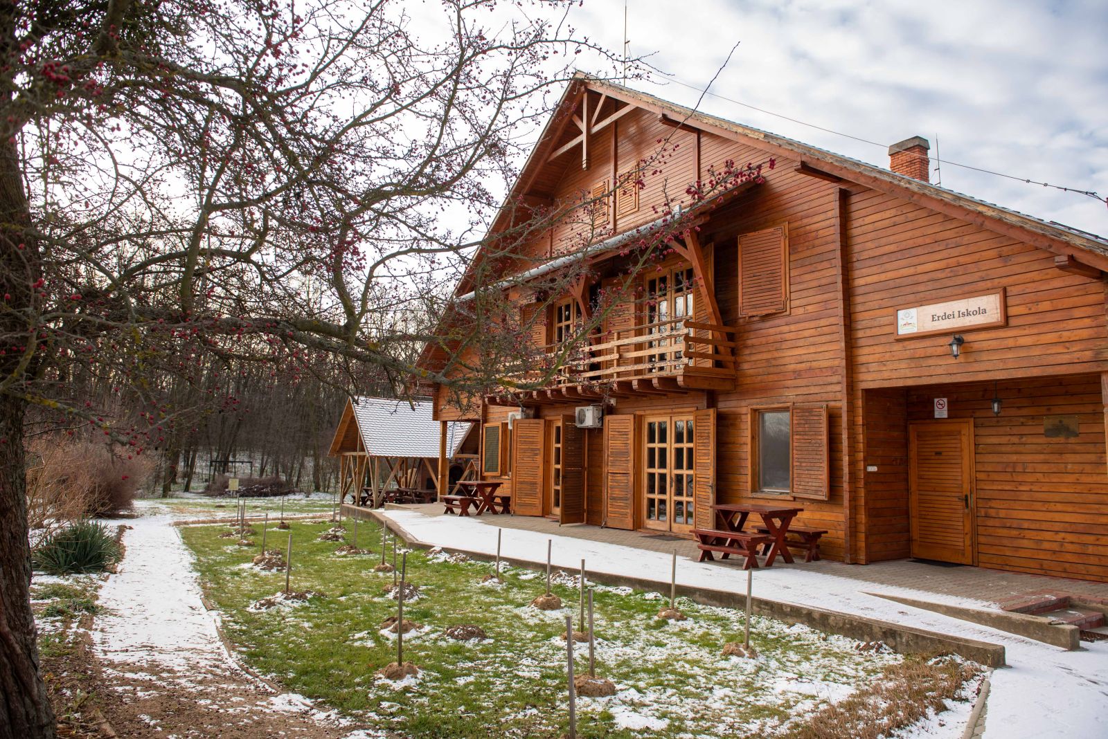 A Harangodi Erdészeti Erdei Iskola, mint a magyarországi minősített erdészeti erdei iskolák Szabolcs-Szatmár-Bereg megyei meghatározó képviselője 